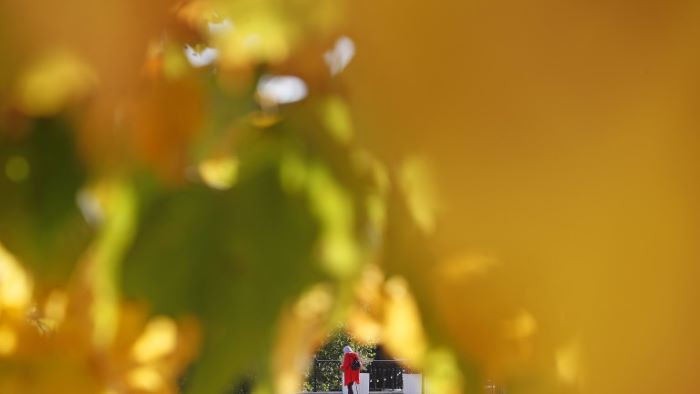 Днес ще преобладава слънчево време. Това съобщават от НИМХ. След обяд